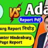 hindenburg adani full report pdf download